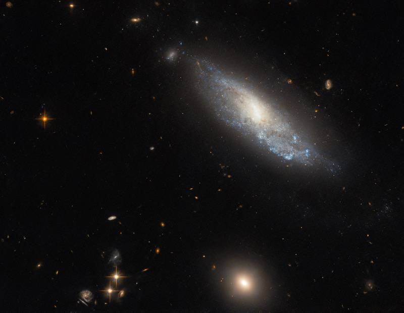 NGC 298