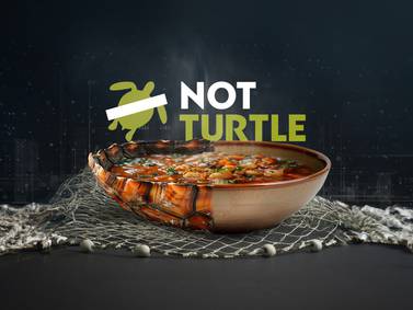 La IA ayudó a crear la primera sopa de tortugas sin matarlas