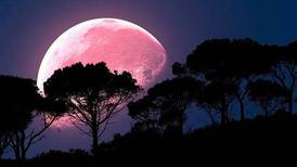 Superluna Rosa: ¿en qué países se verá el fenómeno astronómico de abril