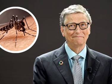 Bill Gates y las razones de su experimento en Medellín: Lidera una granja de mosquitos modificados 