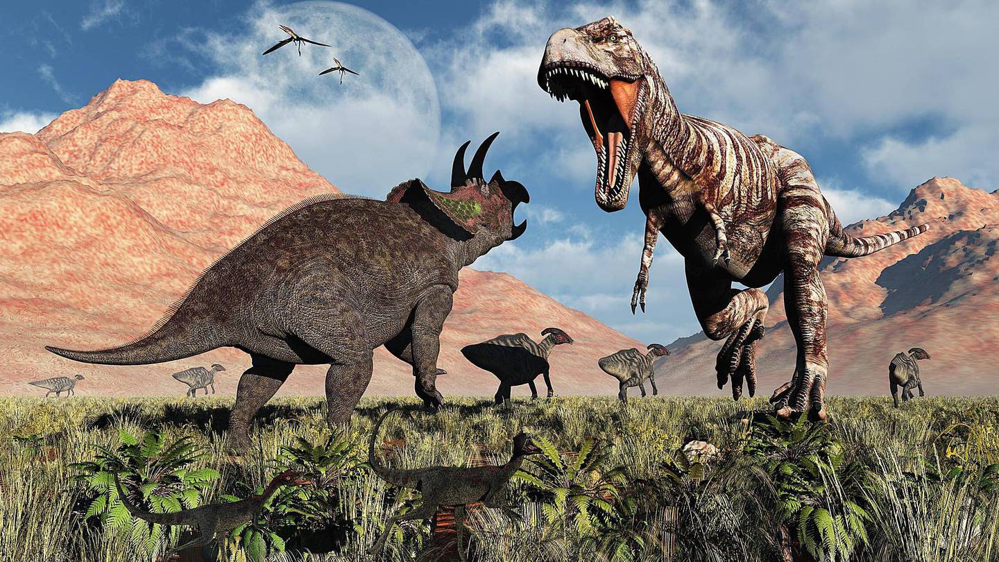 Un Tiranosaurio Rex y un Triceratops pelearon hasta la muerte y así  encontraron sus restos óseos 67 millones de años después