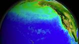 ¿La Tierra se puede partir en dos? Detectan una alarmante falla en el fondo del Océano Pacífico que fragmenta las placas