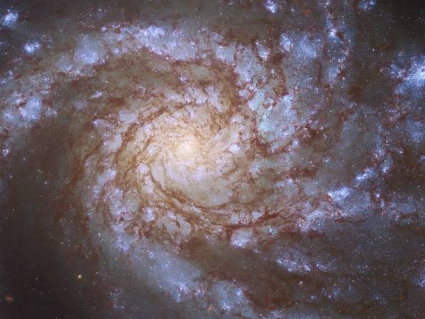 NASA: Telescopio Espacial Hubble capta la imagen de una galaxia formadora de estrellas a 80 millones de años luz