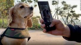CES 2022: Samsung presenta una app para reconocer a tu perro en caso de pérdida