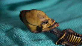 Revelan la verdad tras el esqueleto bebé alien de Atacama