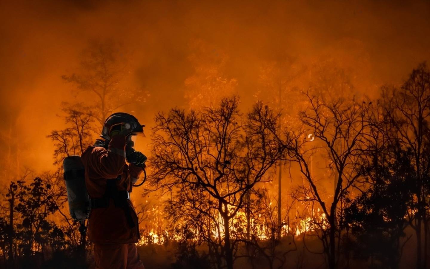 Firefighters fight forest fire and climate change