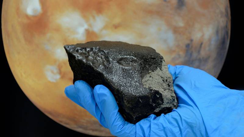 Fracciones del meteorito aterrizaron en la tierra | Foto:  Ludovic Ferriere/Museo de Historia Natural de Viena