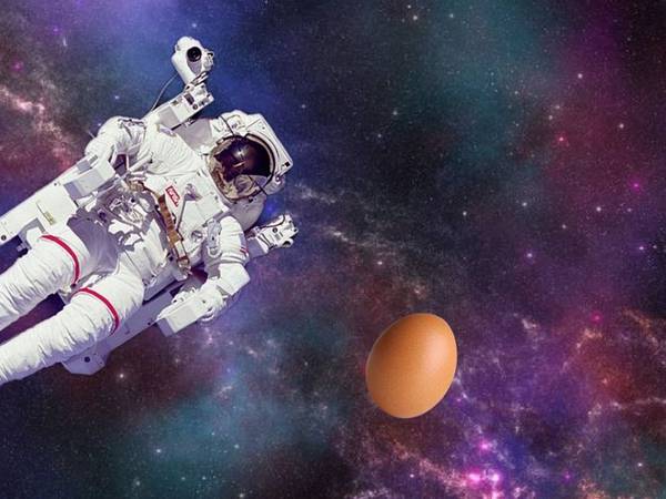 Exingeniero de la NASA hizo un experimento que parecía imposible: lanzó un huevo desde el espació y cayó intacto en la Tierra