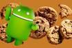 Después de cuánto tiempo tienes que eliminar las cookies del navegador de tu móvil Android