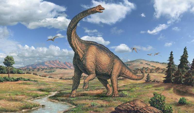 Cuántos tipos de dinosaurios existieron? Estas son las distintas especies