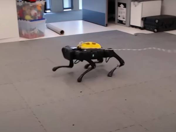 Desarrollan un perro robot que aprendió a caminar en una hora con inteligencia artificial