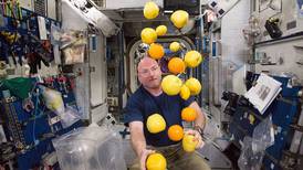 Dieta espacial: ¿cuál es la comida más recomendada para los astronautas de NASA?