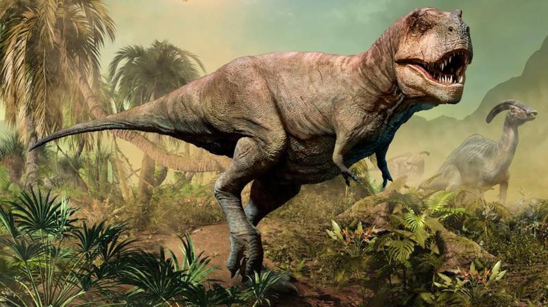 Según la ciencia, así sonaban los dinosaurios: nada qué ver con los rugidos  de Jurassic Park – FayerWayer