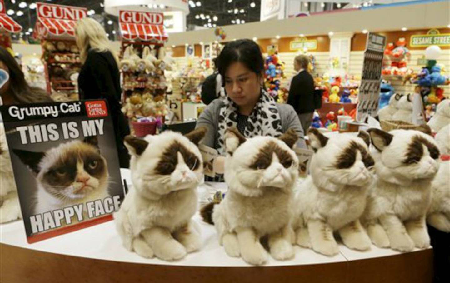 Cheems, Doge, Grumpy Cat and the origin of the pets that became Internet celebrities after a meme – FayerWayer