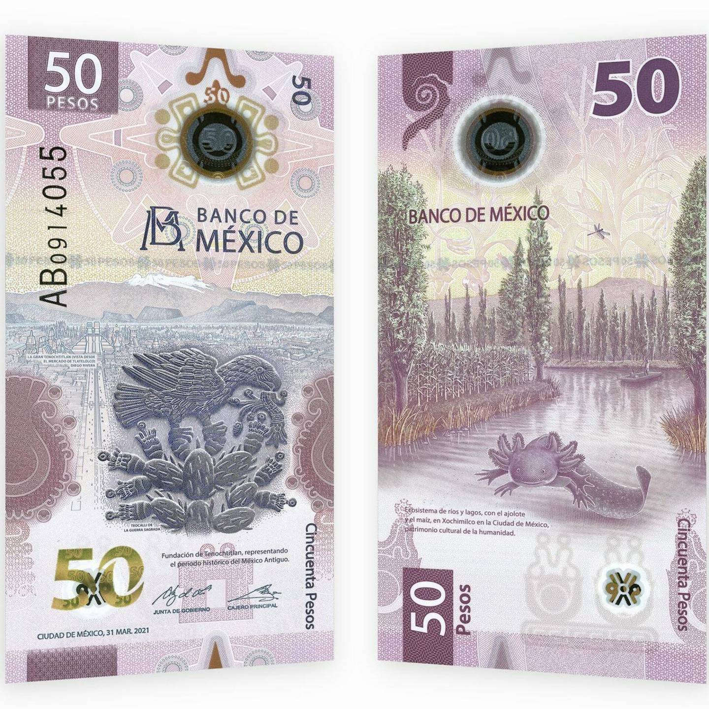 50 peso bill from Mexico