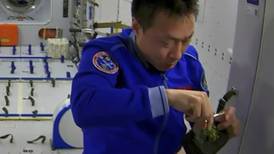 China tiene un plan para alimentar a futuros astronautas: cultivar arroz en el espacio