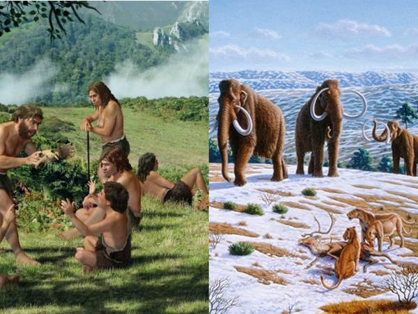 ¿Los humanos exterminaron a la ‘megafauna’ del planeta? Esto dicen los investigadores