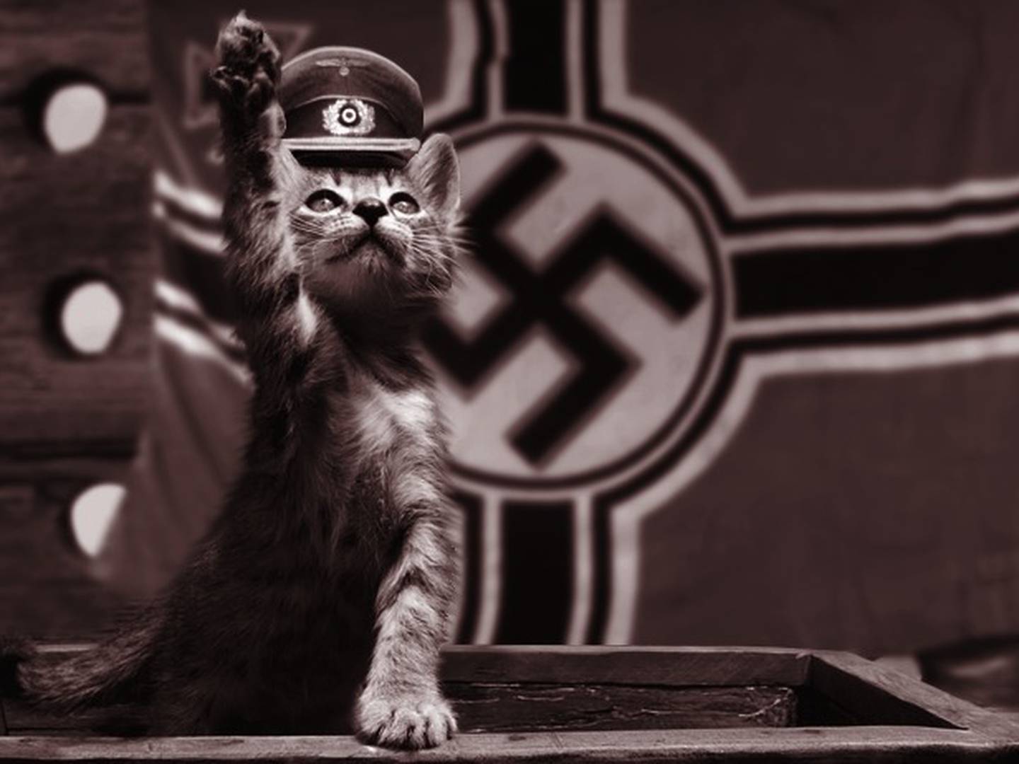 Животное евреев. Фашистский кот.