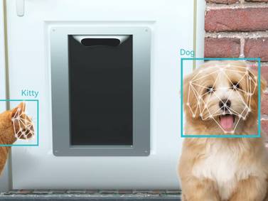 Petvation, la puerta para mascotas que usa reconocimiento facial para dejar pasar solo a tu perro o gato