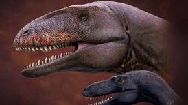Investigadores descubren fósil de dinosaurio siete millones de años más antiguo y más aterrador que el T.Rex, con dientes de tiburón