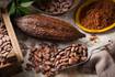 Nuevo estudio asegura que los flavanoles del cacao pueden mejorar la memoria