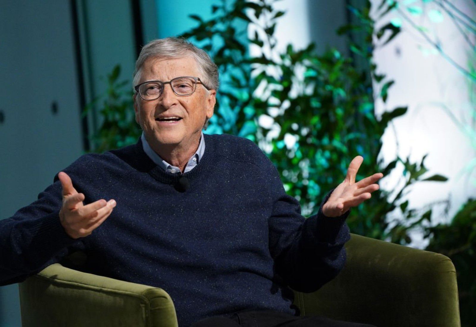 Bill Gates: Planting trees to solve the climate crisis is “complete nonsense”