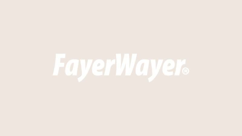 FayerWayer