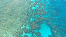 Investigadores australianos encuentran el coral más ancho integrado a la gran barrera de corales y calculan que tiene más de 400 años