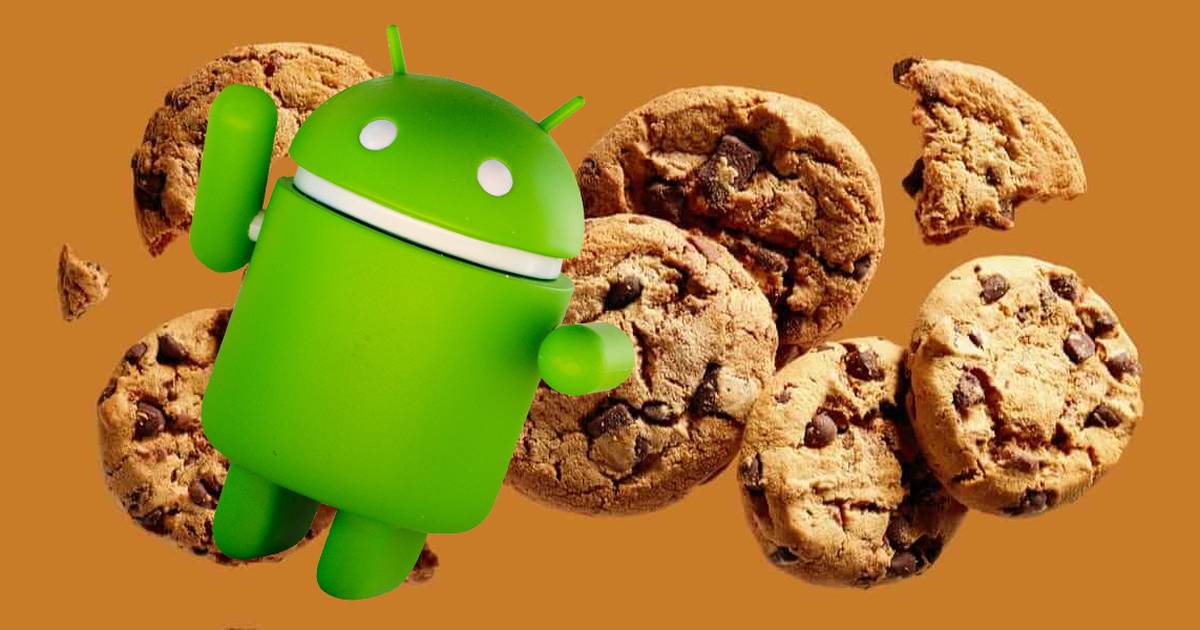¿Después de cuánto tiempo tienes que borrar las cookies del navegador de tu móvil Android? FayerWayer
