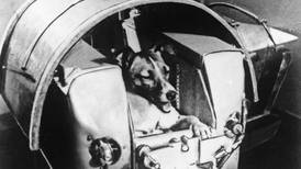 El trágico destino de Laika: La horrible verdad tras la misión de la primera perrita en el espacio