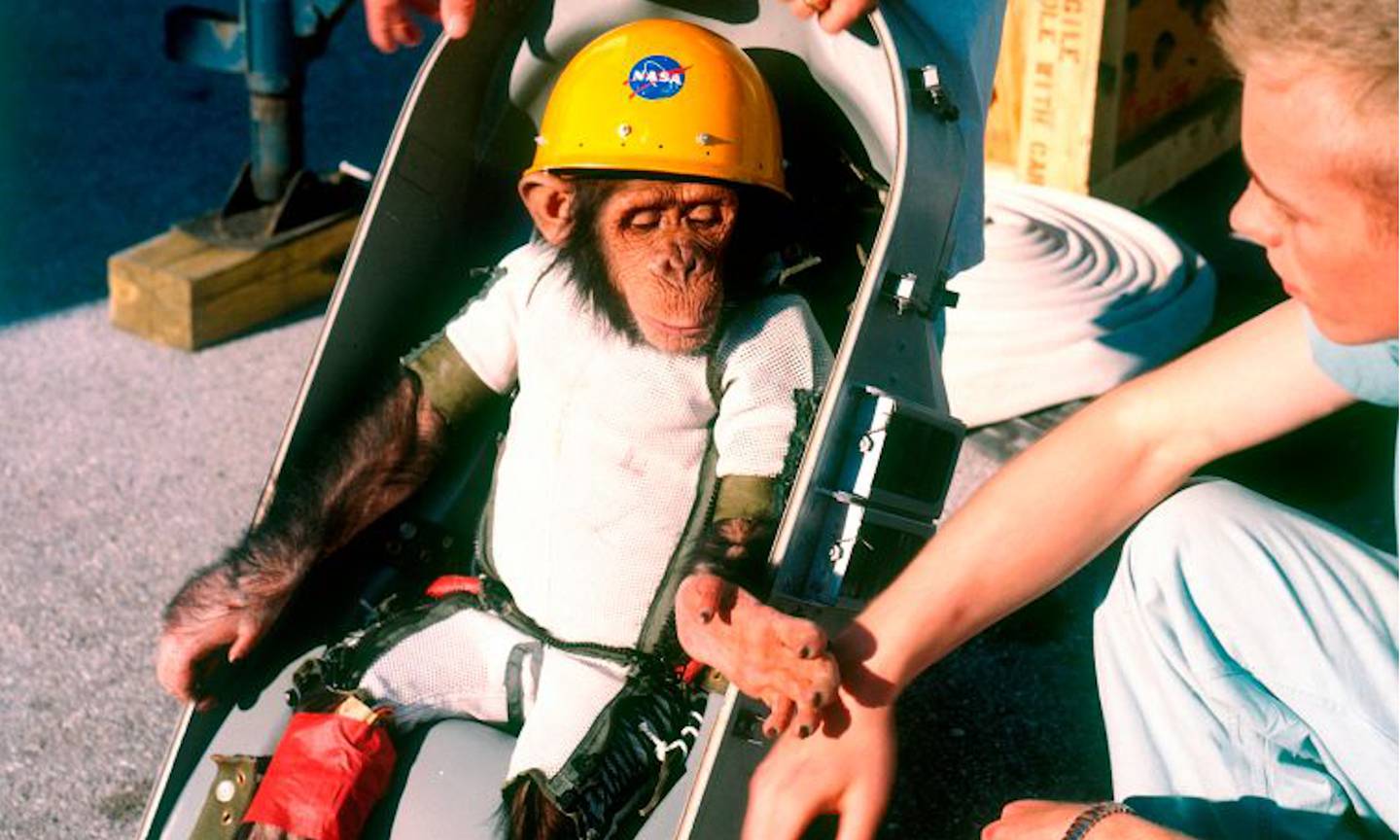 Se cumplen 40 años de la muerte de Ham, el primer chimpancé astronauta de la NASA y el primer homínido que viajó al espacio. Esta es su historia.