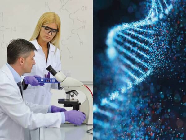Nuevo hallazgo del ADN humano asombra a los científicos y puede ayudar en la lucha contra el cáncer, estas son las razones