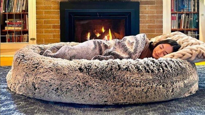 Estudiantes crearon cama de perros para los 300.000 dólares en ventas – FayerWayer