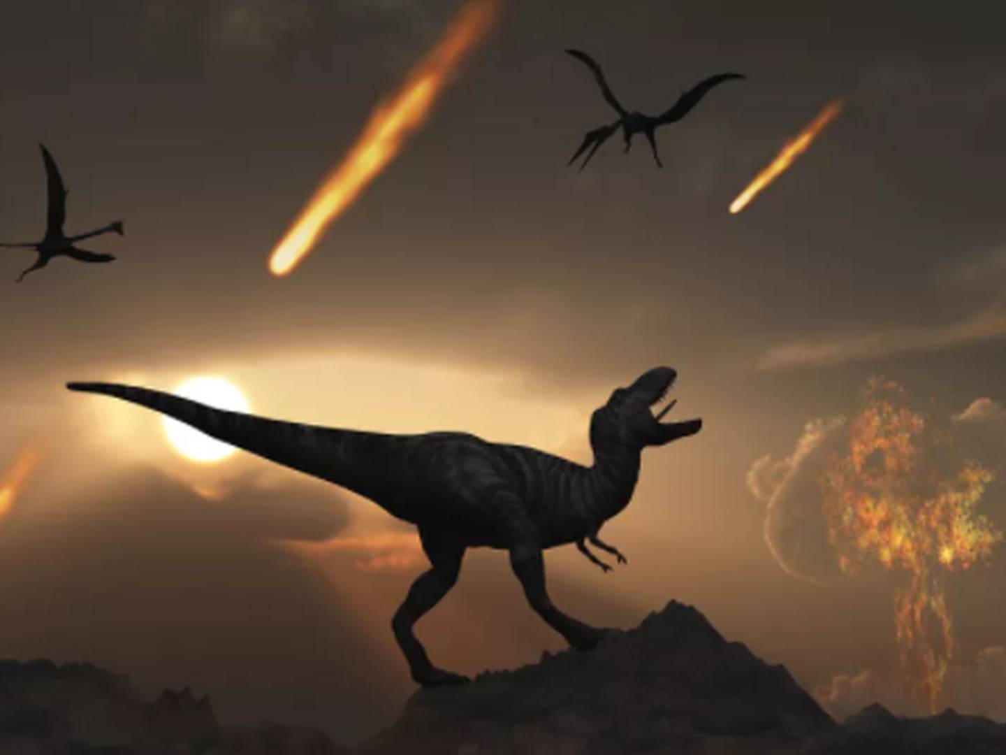 Revelador estudio sugiere que los dinosaurios no se extinguieron por el  impacto de un meteorito – FayerWayer