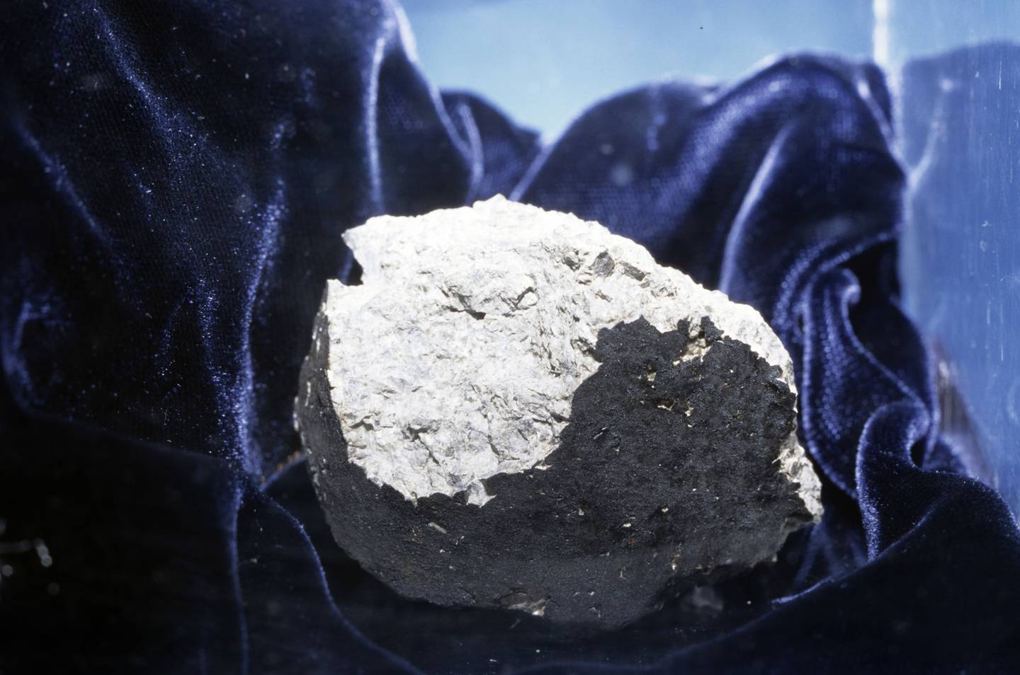 El meteorito ALH 84001, que presuntamente tenía señales de vida extraterrestre, pues contaba con una especie de bacteria que había llegado desde Marte a la Tierra hace 13 mil años.