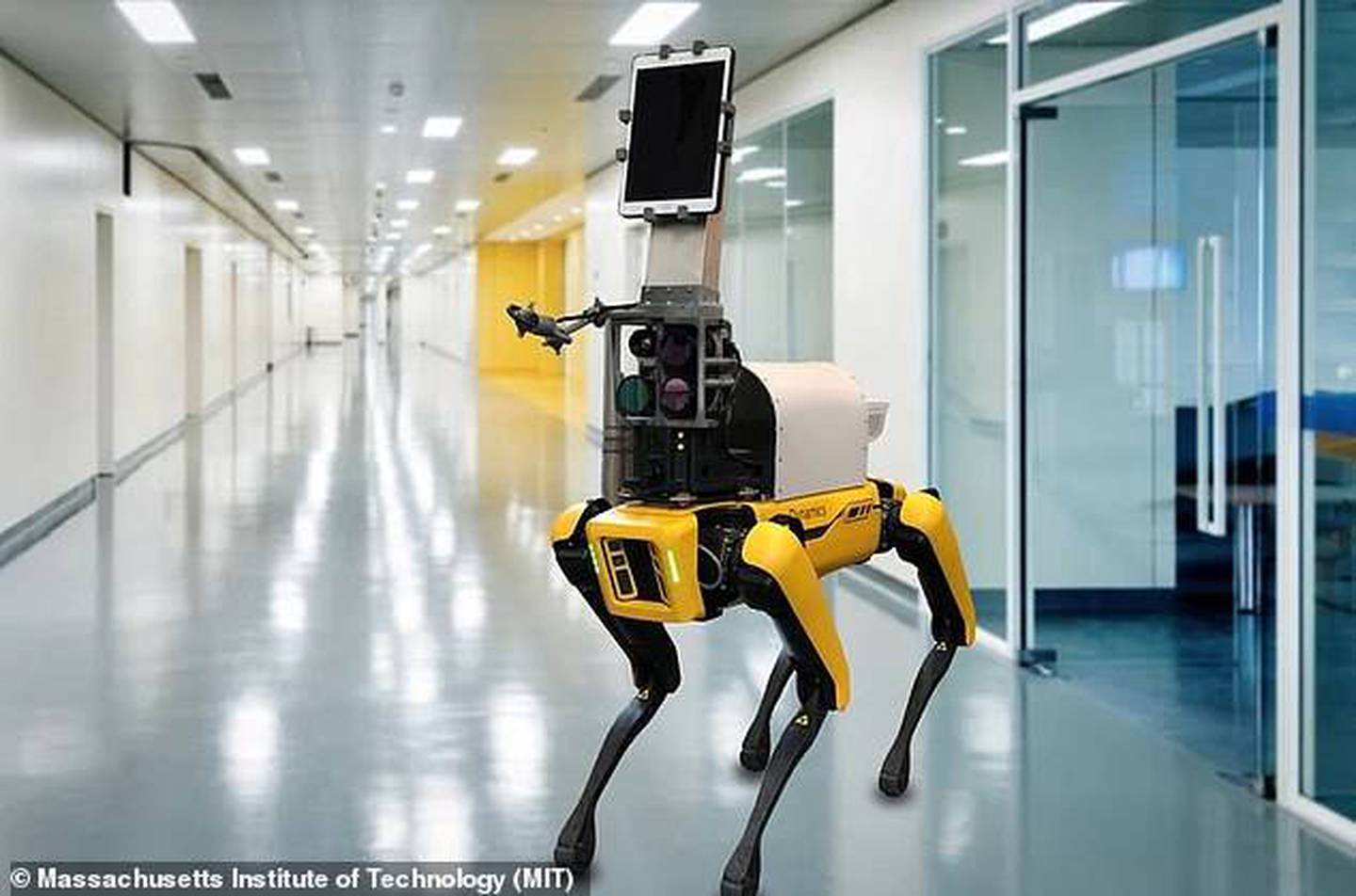 Viral video: How does a dog react when meeting a robot dog?