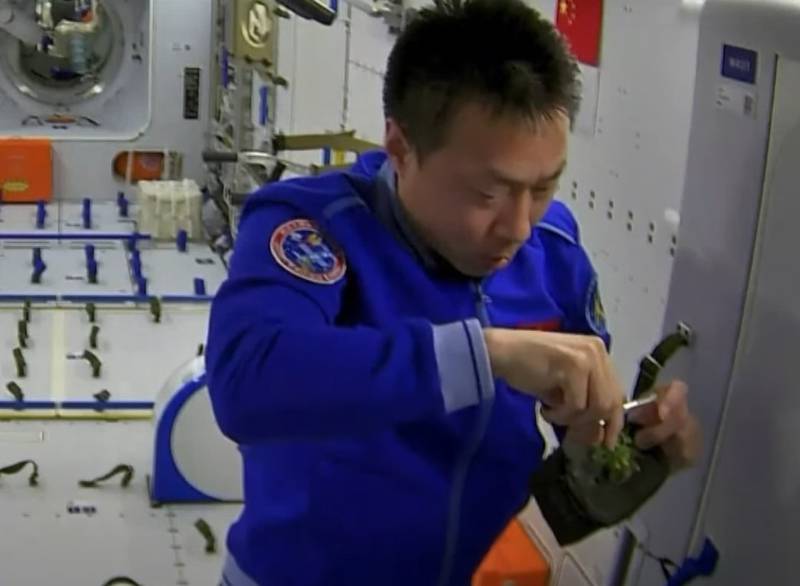 Astronauta manipulando una planta.