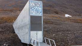 La cámara del fin del mundo: la salvación de la humanidad está enterrada en Noruega