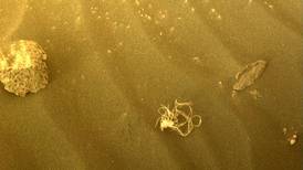La NASA revela uno de los misterios más extraños de Marte: qué son los “espaguetis” encontrados en el planeta