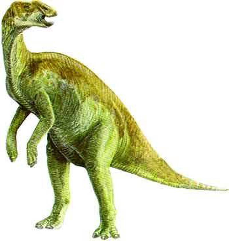 Conoce algunos de los diferentes dinosaurios que habitaban en México