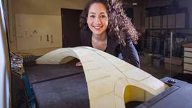 Recrean en impresión 3D el puente “radical” de Leonardo Da Vinci