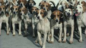 Cámaras de gas para animales: la horrorosa donación de un ex nazi y su familia en Argentina