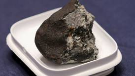 Encuentran en Italia uno de los meteoritos más raros del mundo