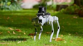 Tefi, el perro robot desarrollado en España para que asista a personas ciegas o con discapacidad