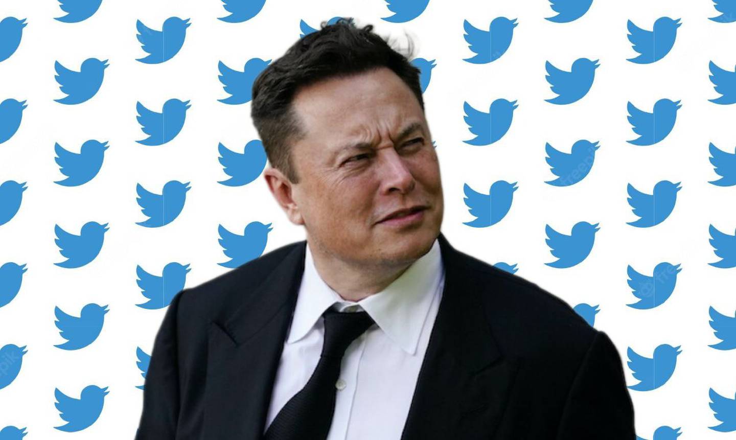 Elon Musk - Twitter. Composición: Kiko Perozo
