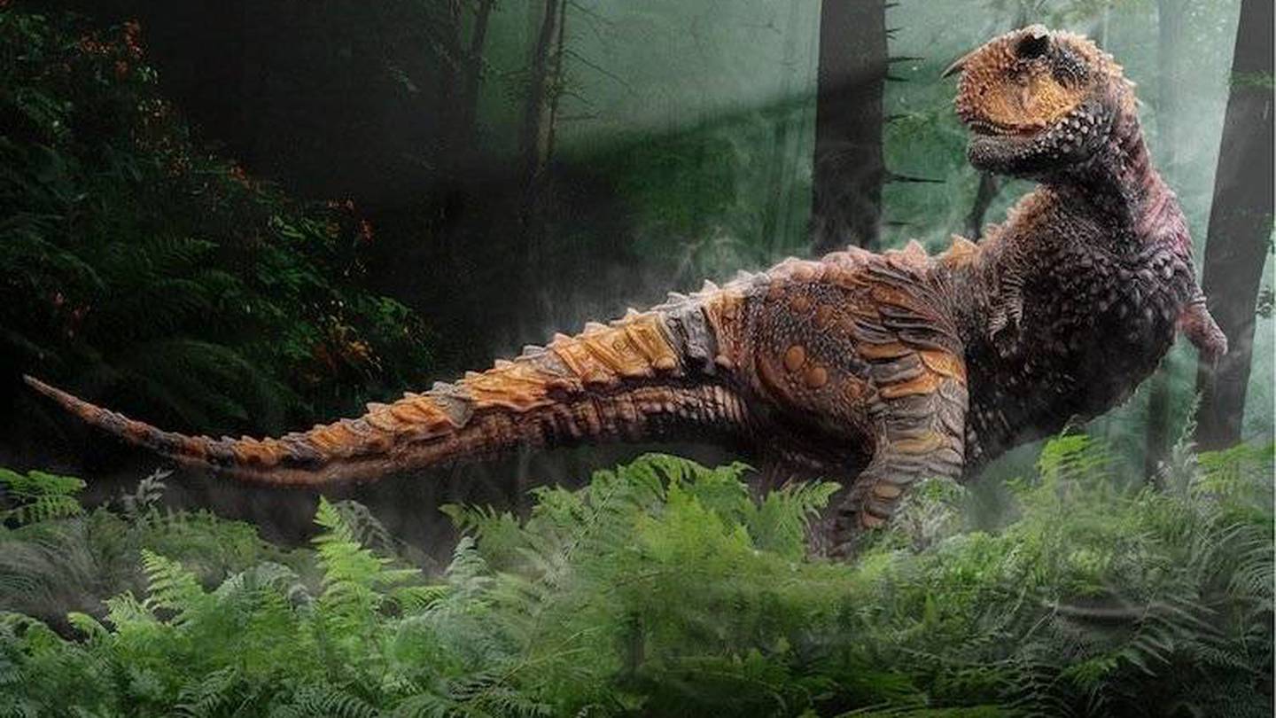 Dinosaurios: algunos hasta tenían plumas, estos son los 7 dinosaurios más  extraños que existieron