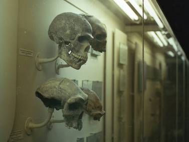 Estudio: los primeros fósiles humanos más viejos tendrían un millón de años más de antigüedad