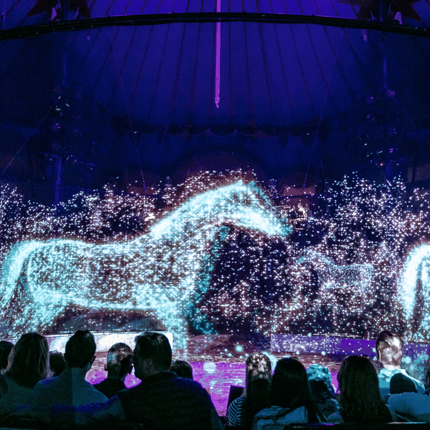 Holograma en 3D del Circus Roncalli