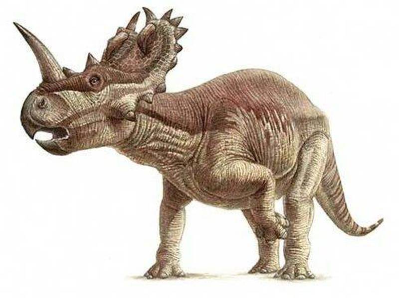 Conoce algunos de los diferentes dinosaurios que habitaban en México