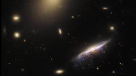 NASA y ESA James Webb: Captan formación de estrellas en galaxias a 6.300 millones de años luz de distancia